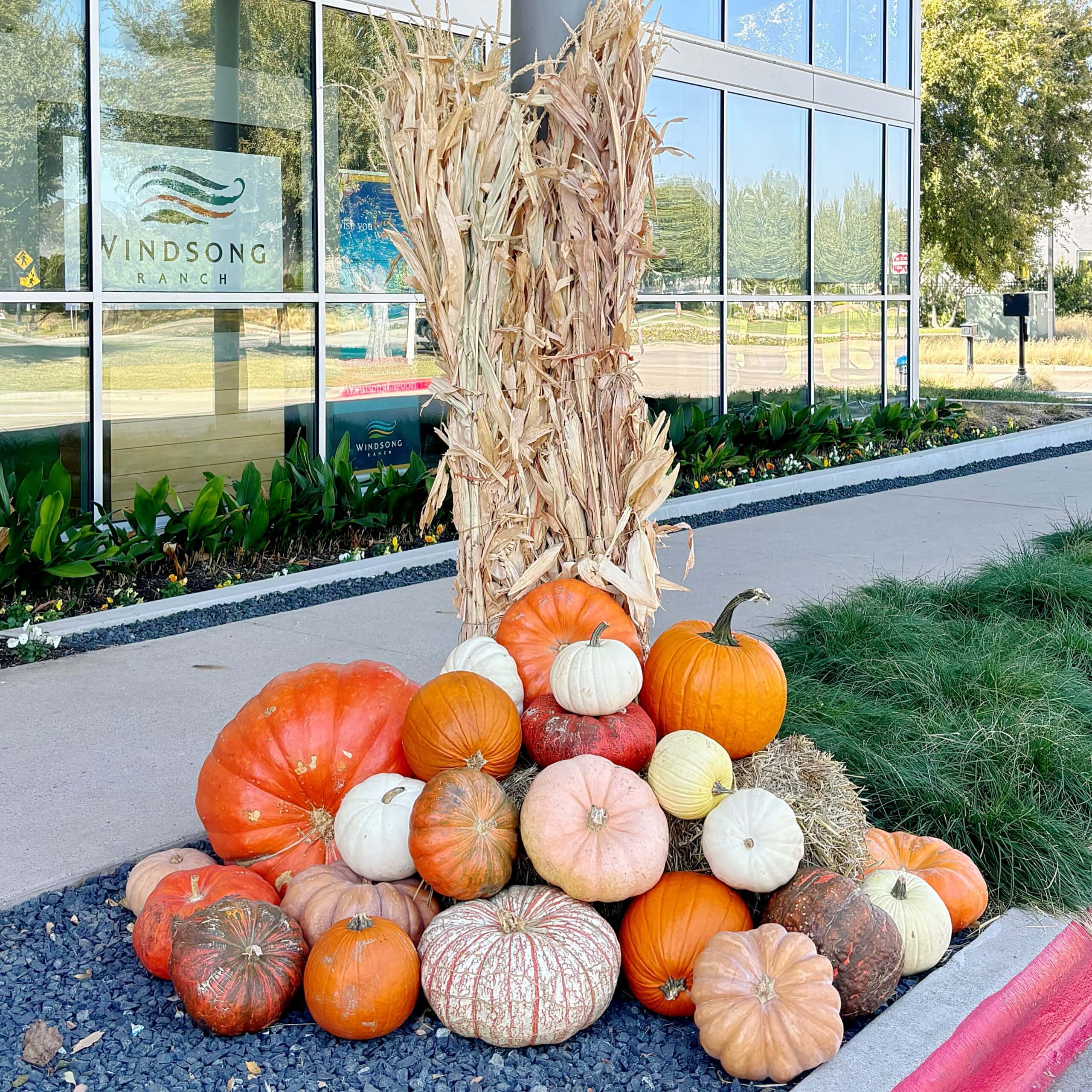 pumpkin decor outside community center building