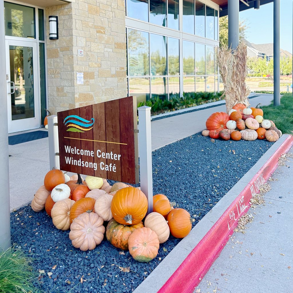 professional pumpkin displays for businesses