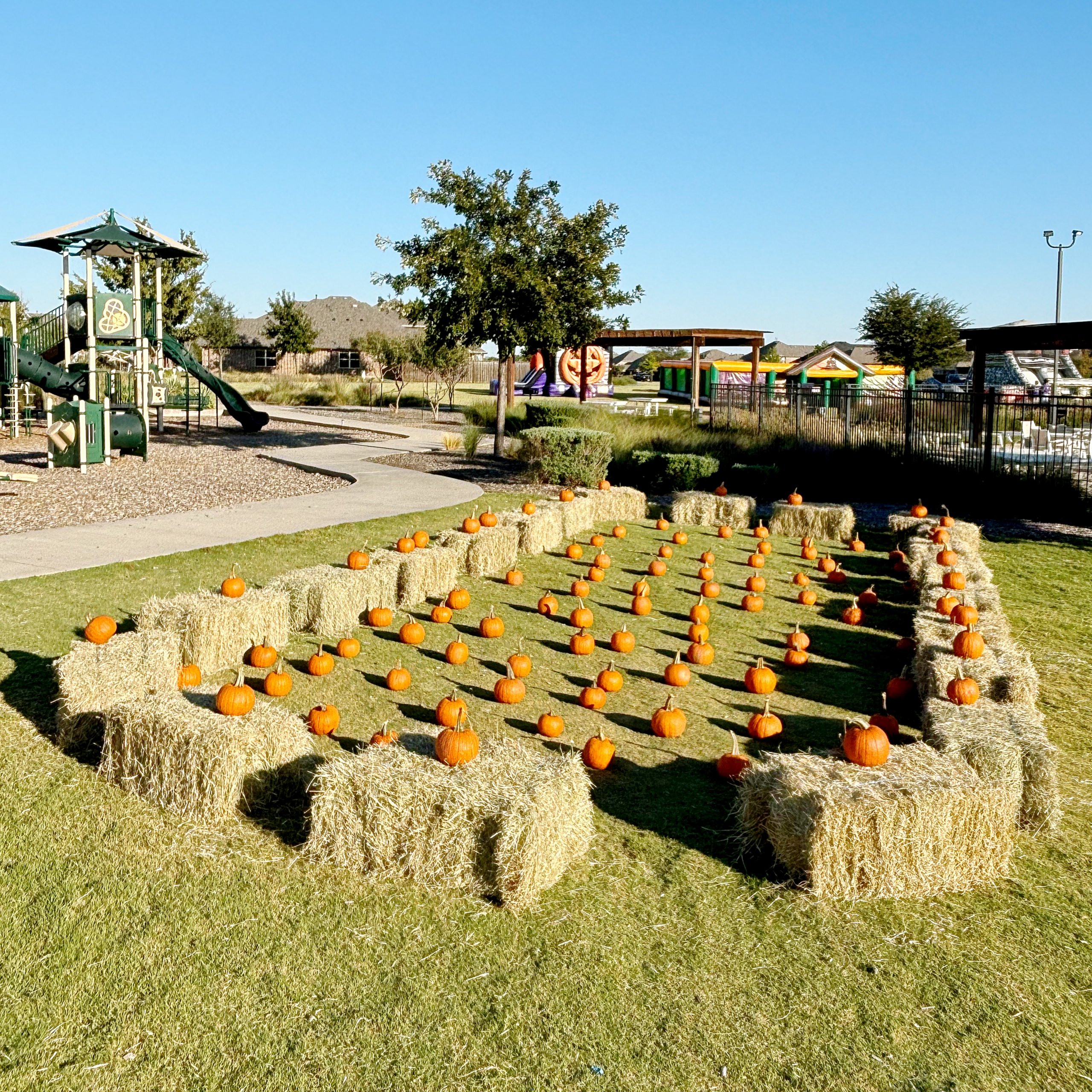 Master planned community fall festival pumpkin patch with pumpkins and hay