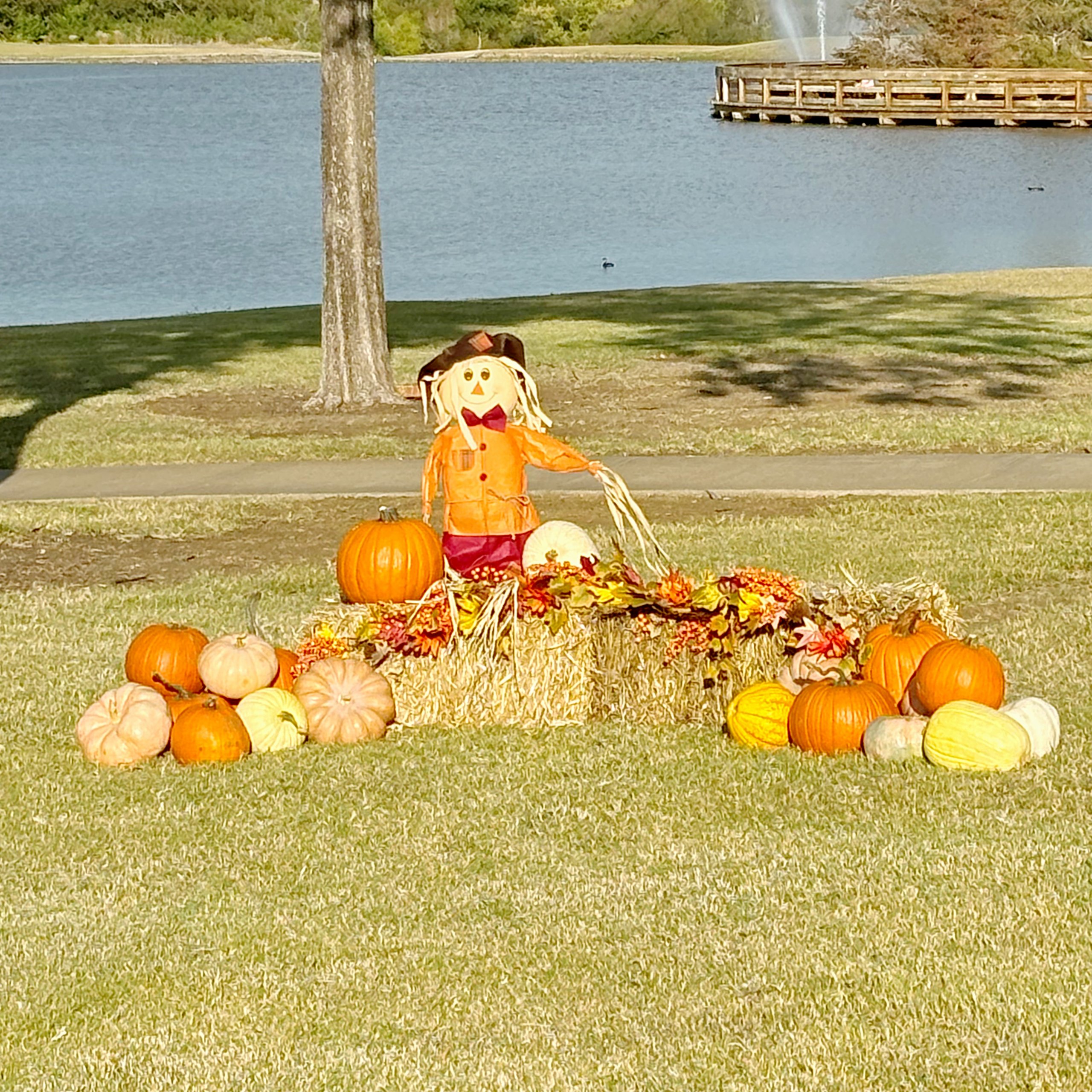 pumpkon display photo opp on golf course. Golf course fall photo set up