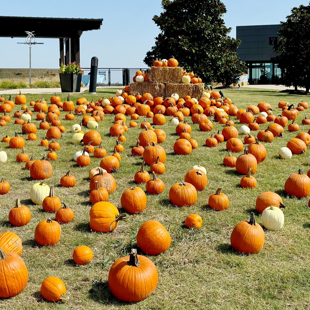community fall frestival ideas with pumpkins and hay