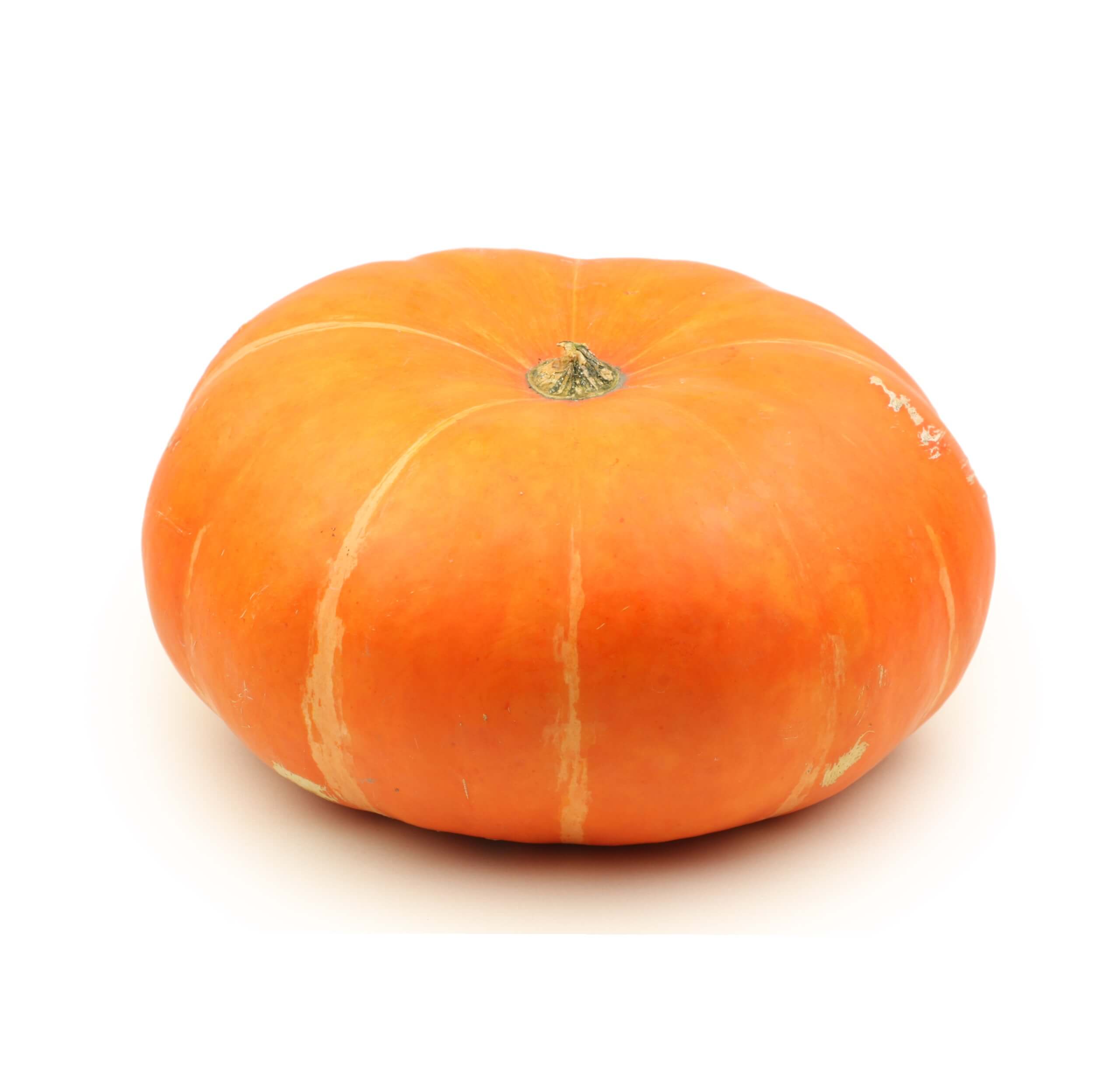 Flattened, deeply ribbed Cinderella pumpkin with rich orange color