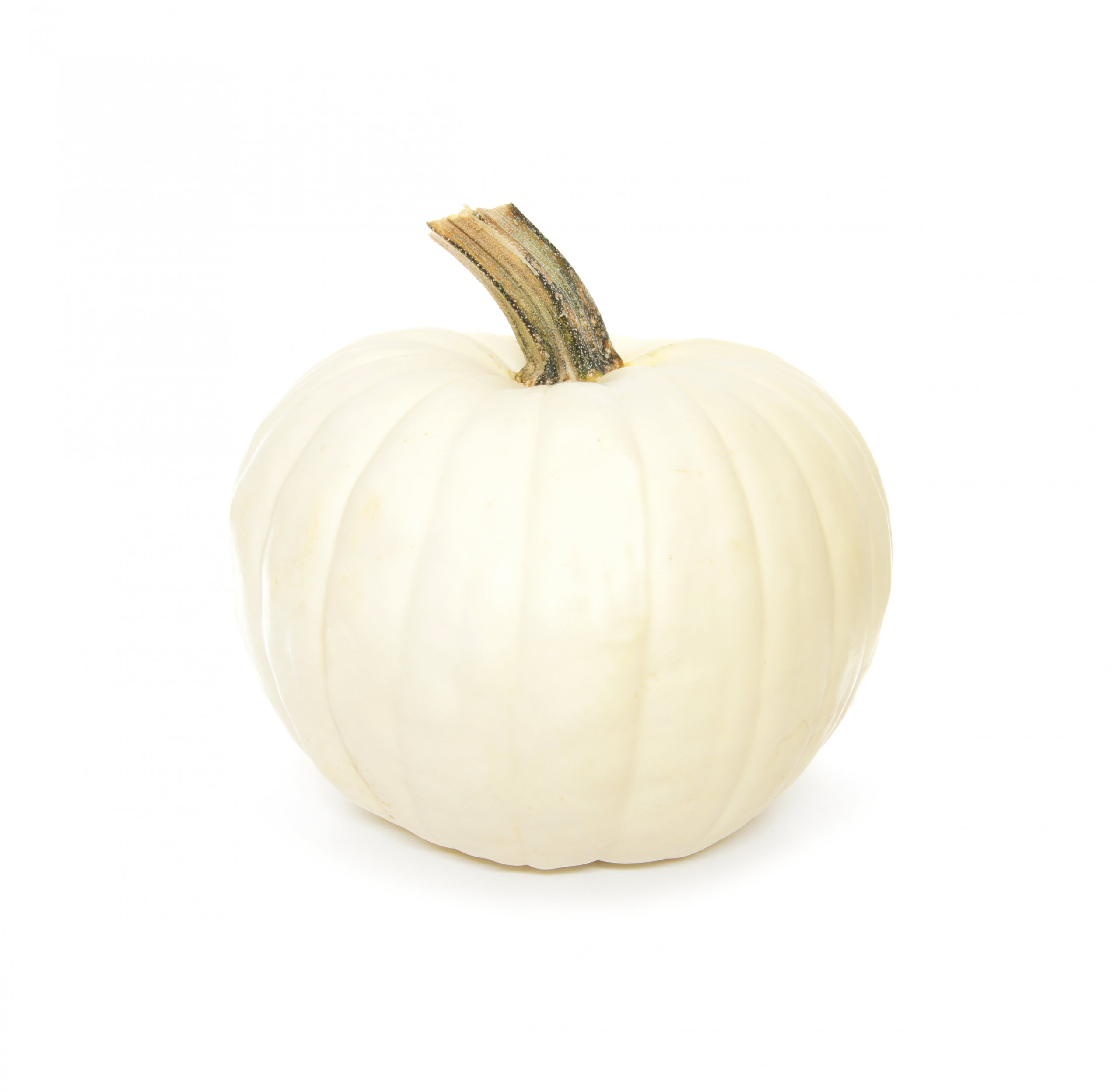 White heirloom pumpkins for porch decorating