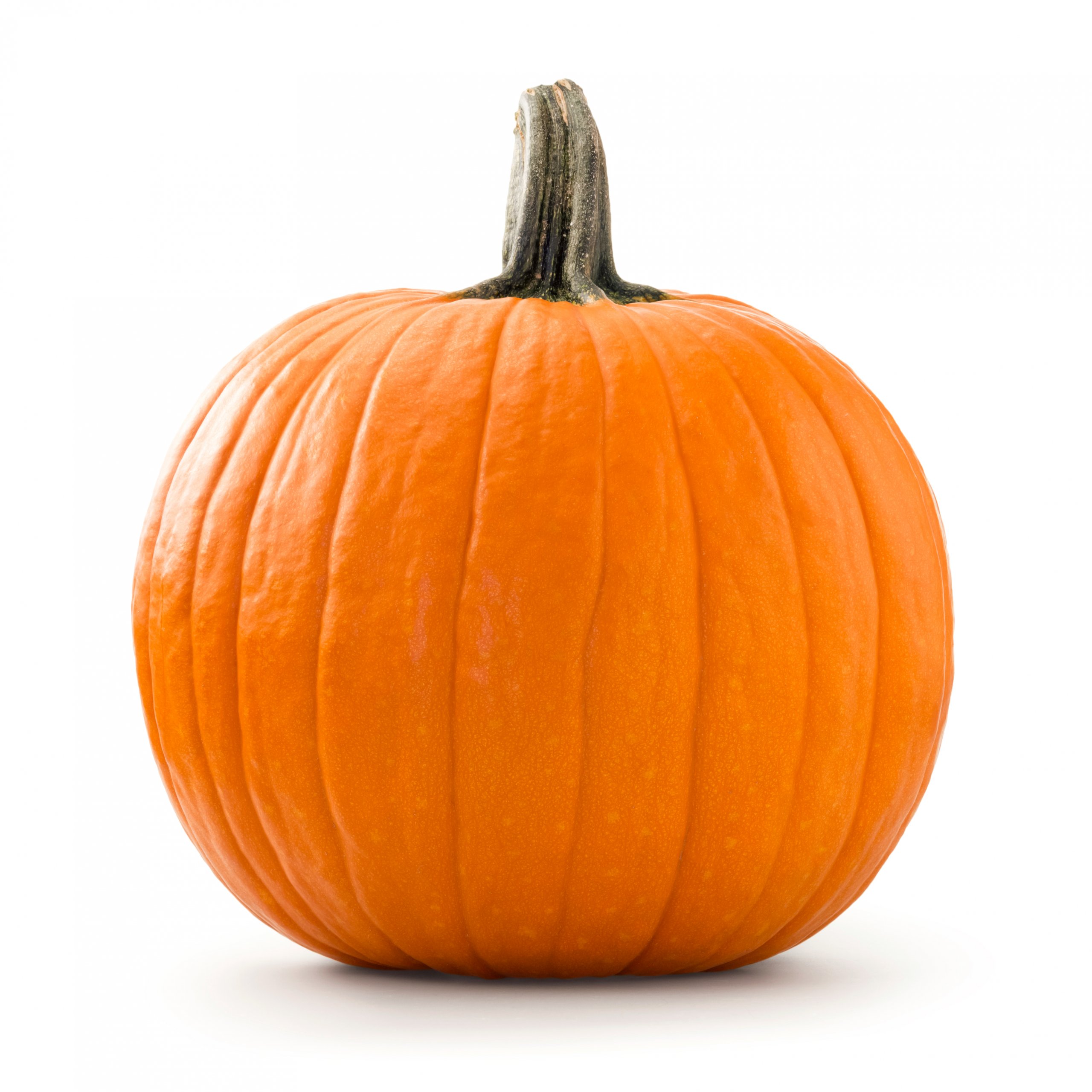Classic orange Jack O' Lantern pumpkin