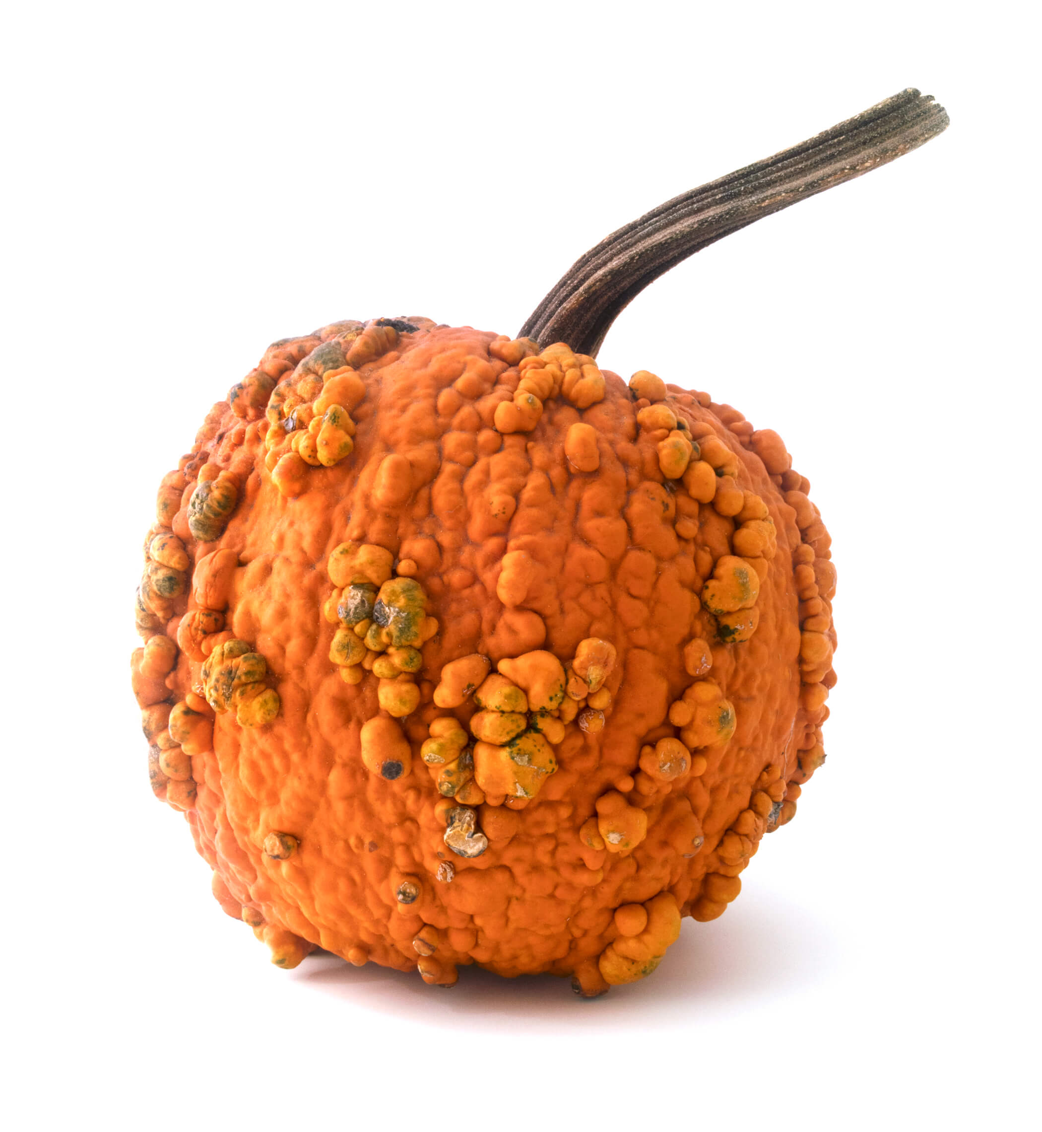 Isolated pumpkin