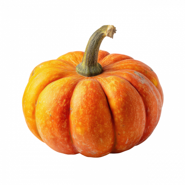 Bulk Mini Pumpkin Delivery For HOAs Events Bulk mini pumpkin delivery for hoas events
